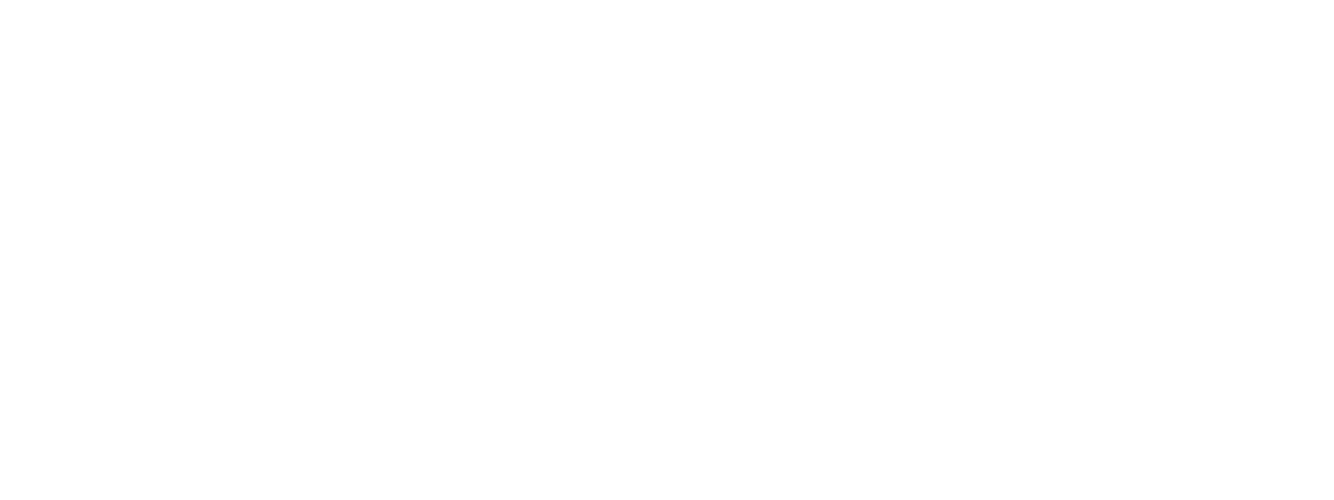 Carrio Financial Group